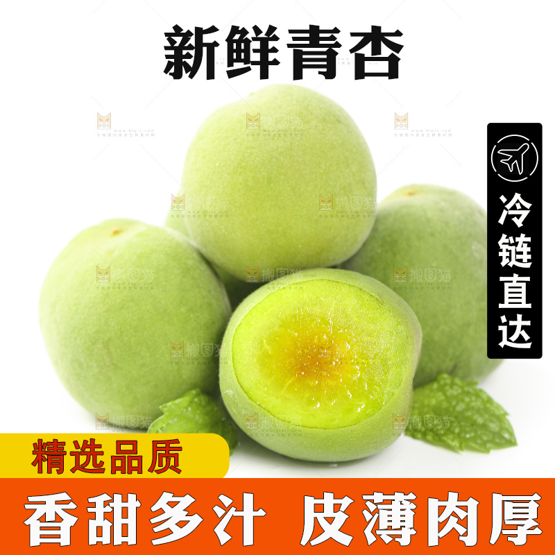 白底上的新鲜青杏