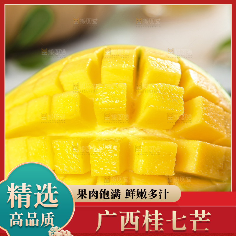 石板上的青皮桂七芒
