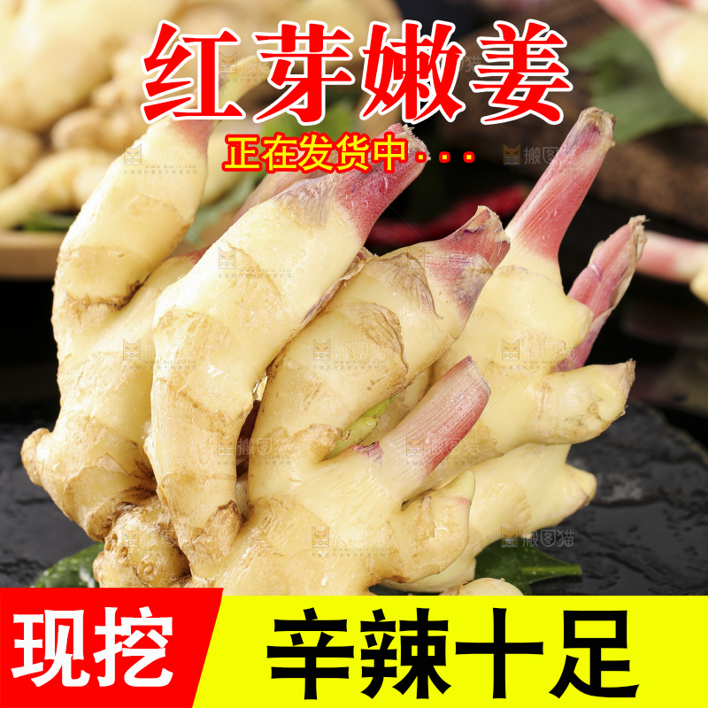 黑石板上放着红芽嫩仔姜