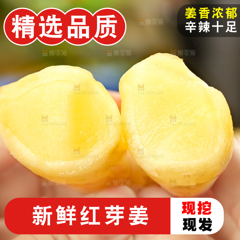 手里拿着新鲜生姜