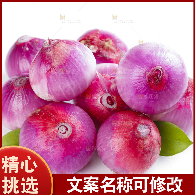 白底上的新鲜洋葱