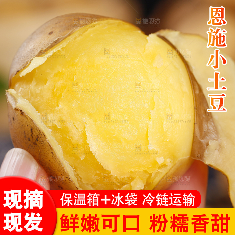 手里拿着迷你小土豆
