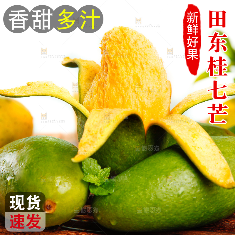 竹底上的青皮桂七芒