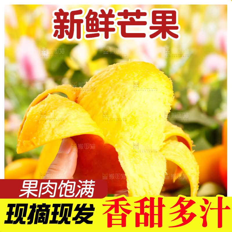 手里拿着吉禄芒果