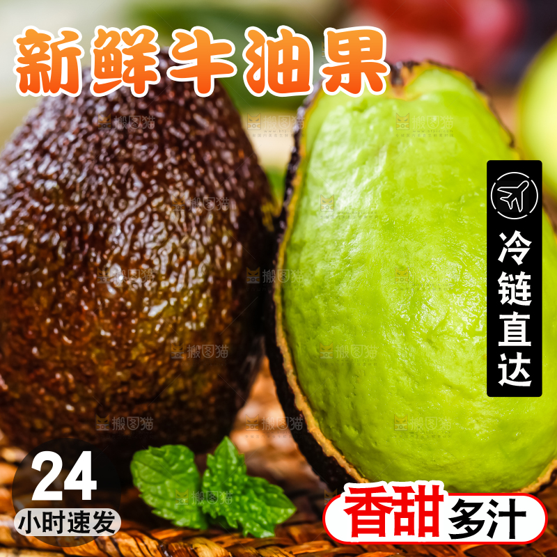 浅底上的巨无霸牛油果