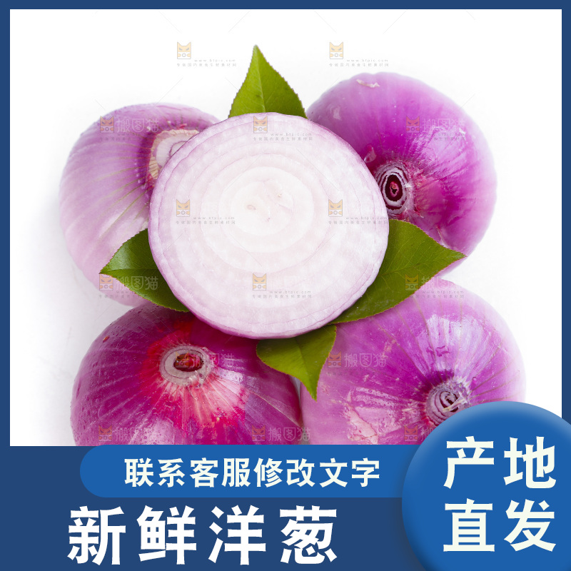 白底上的新鲜洋葱