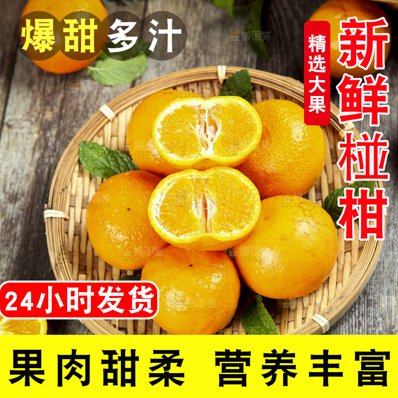 篮子里的福建永春芦柑