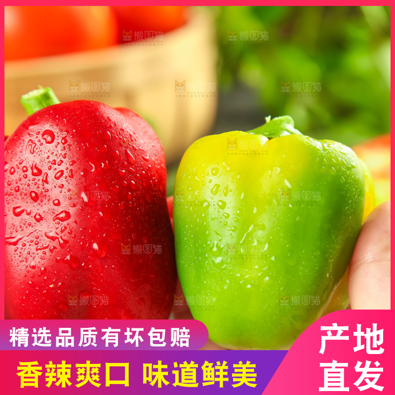 手里拿着新鲜辣椒