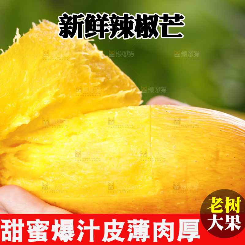 手里拿着新鲜芒果