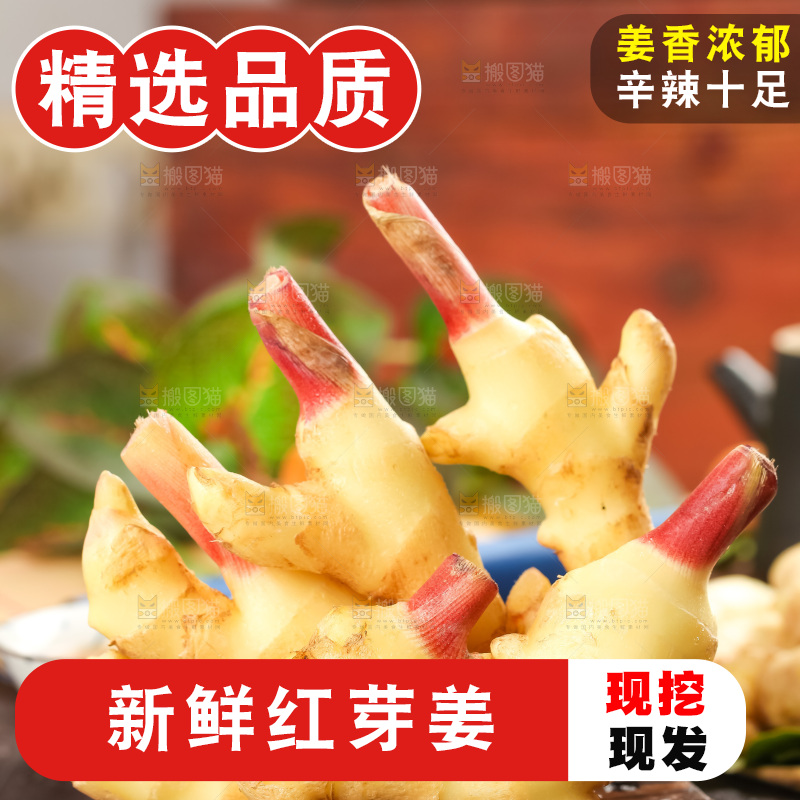 木板上的山东红芽生姜