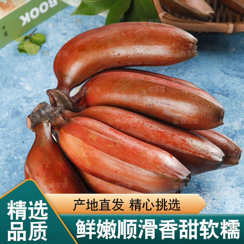 蓝底上摆放着红皮美人蕉