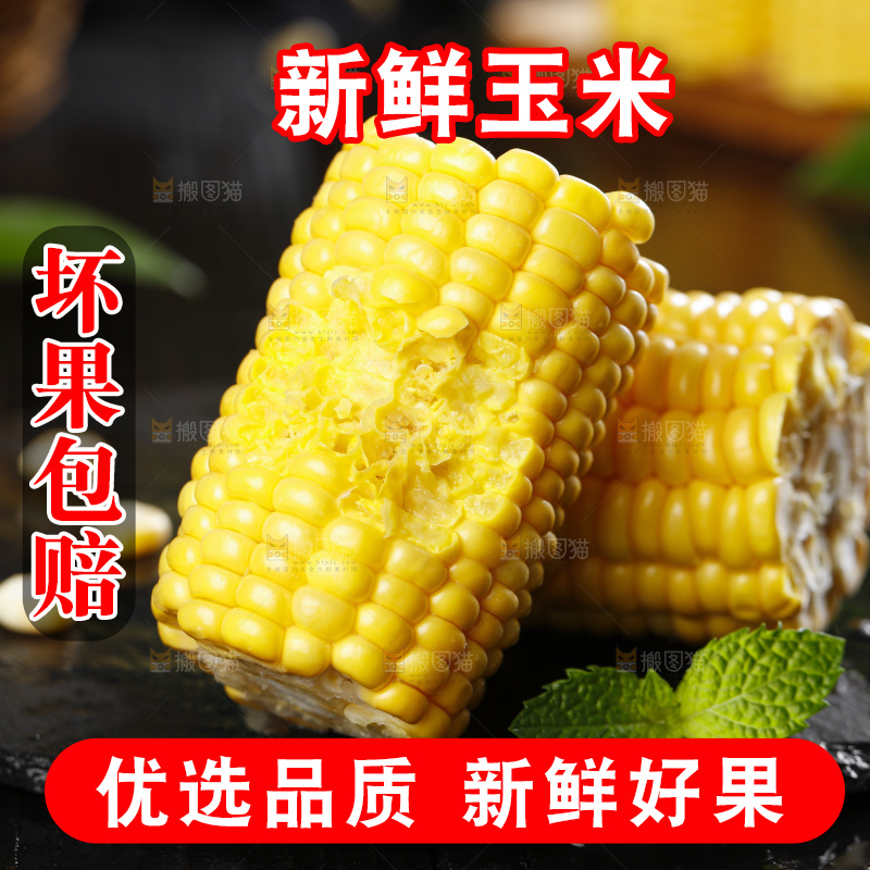 石板上放着黄玉米