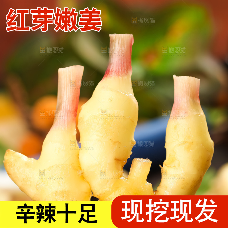 手里拿着嫩姜