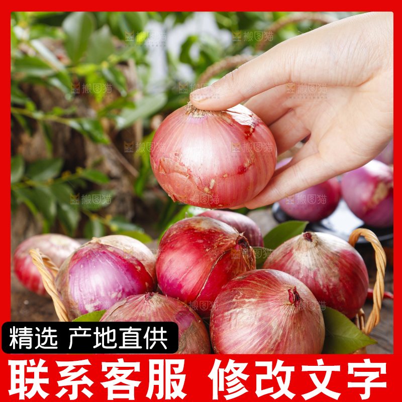 篮子里的新鲜洋葱