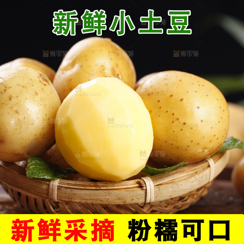 深底上的宜昌小土豆