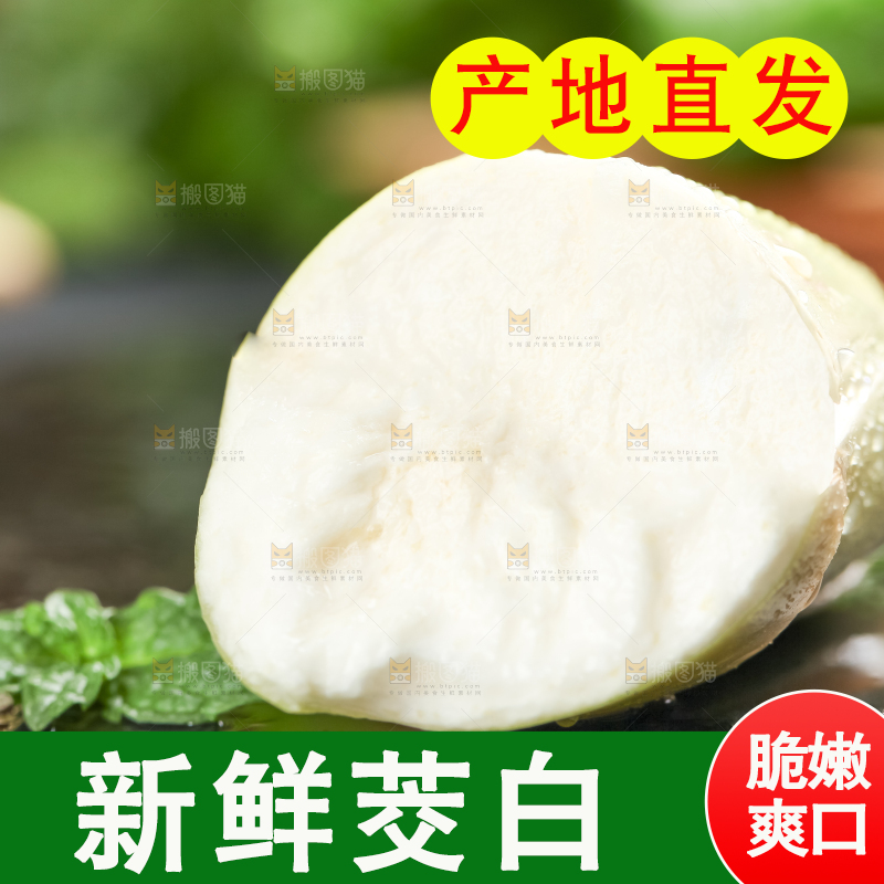 石板上的云南茭白