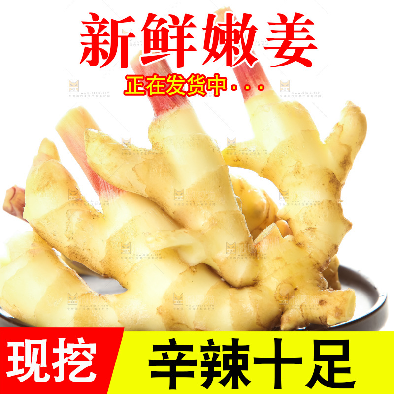 白底上的红芽嫩姜