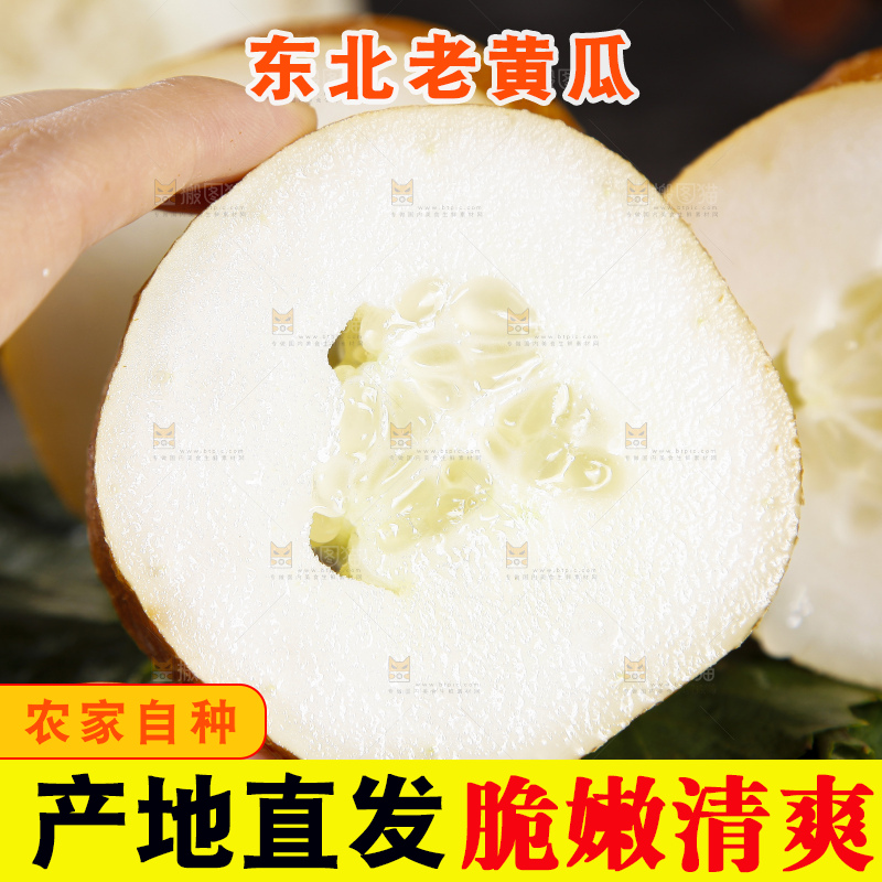 深底上的老黄瓜
