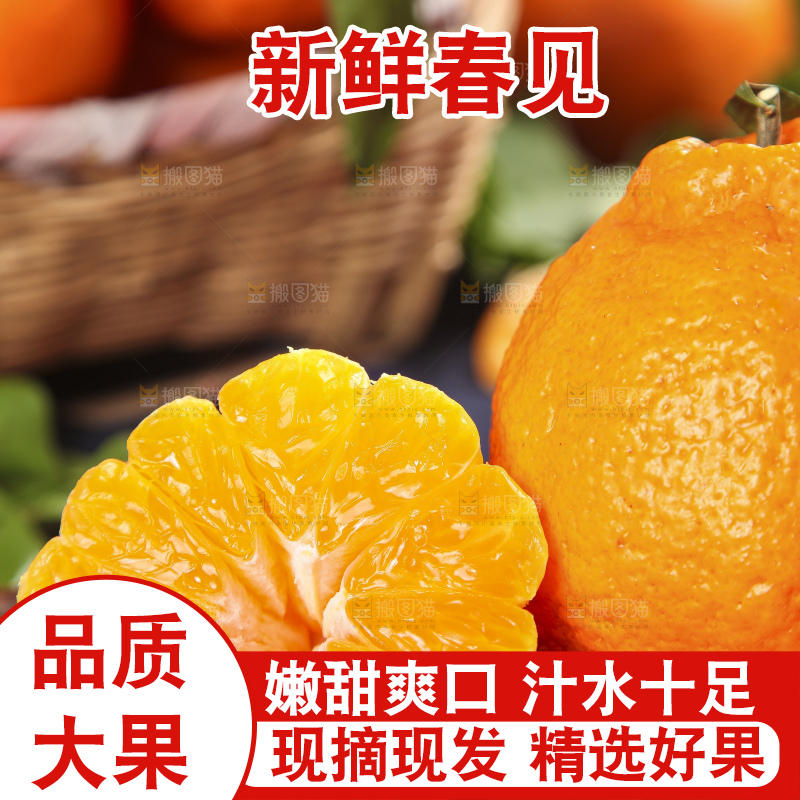 木板上的春见耙耙柑