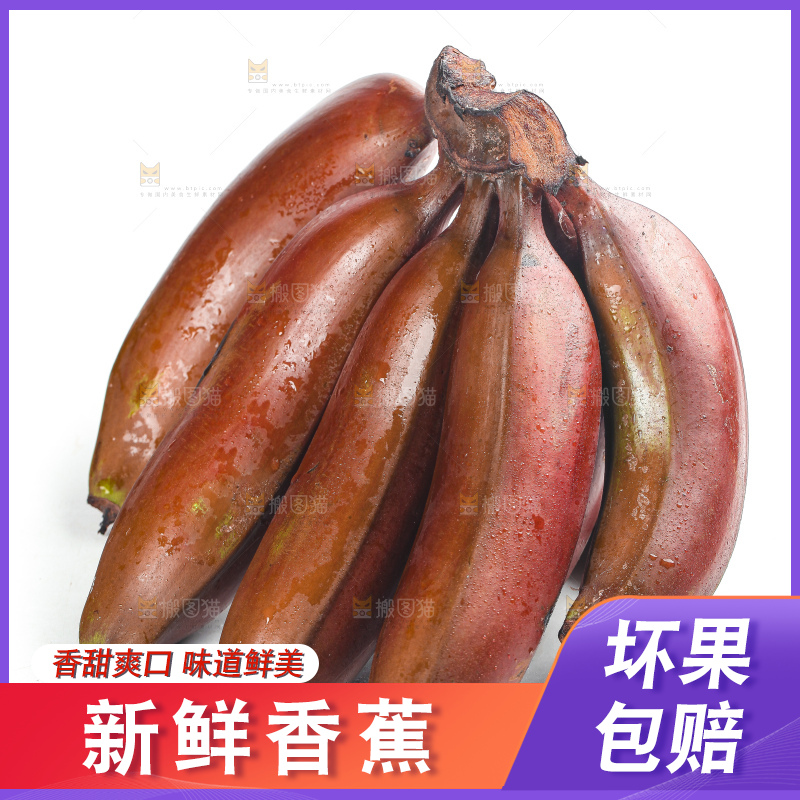白底上的红皮美人蕉