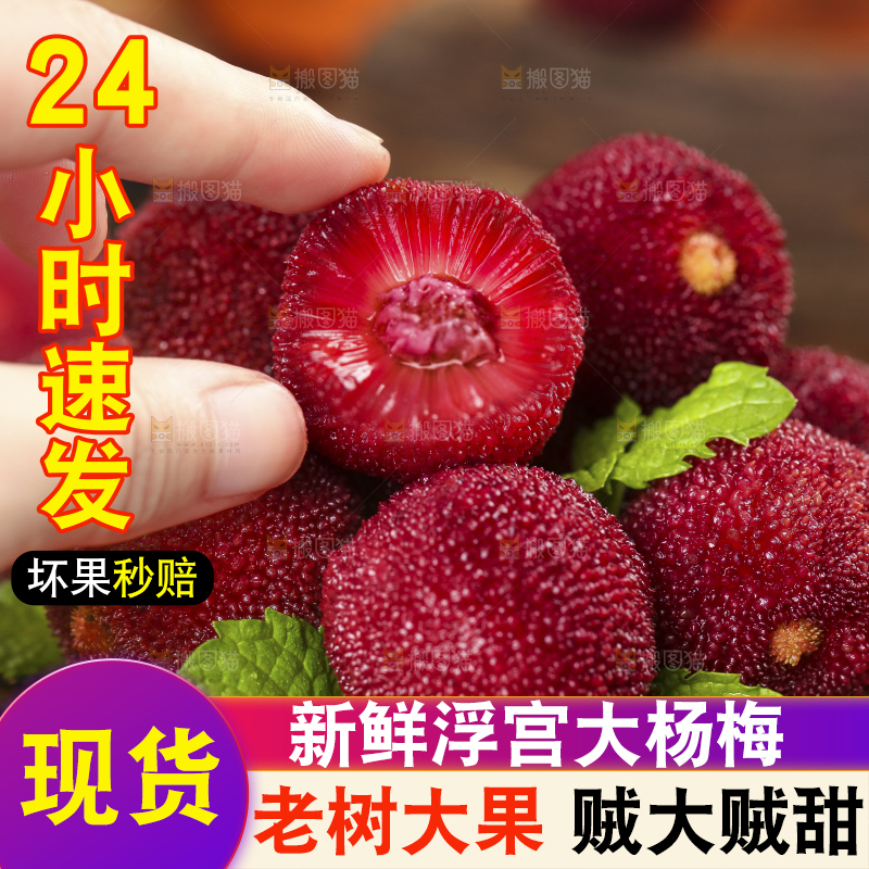木板上的高山大杨梅