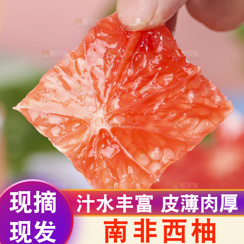 叶子上放着红西柚