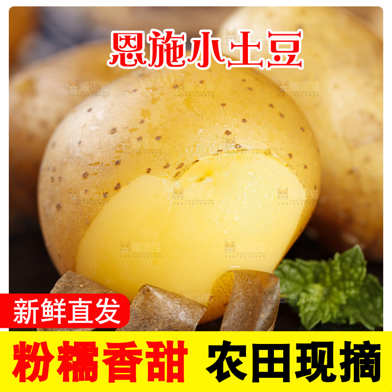手里拿着迷你小土豆