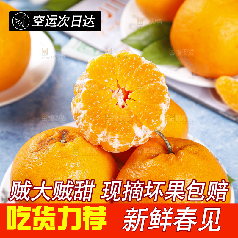 盘里装着四川春见耙耙柑