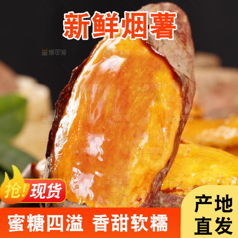 黑底上的山东烟薯