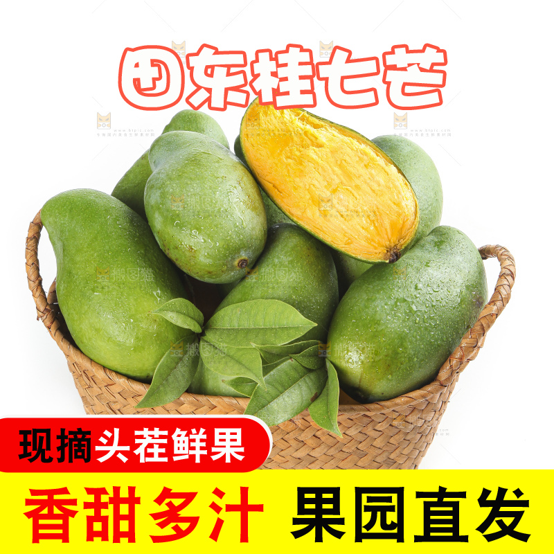 篮子里装着田东桂七芒