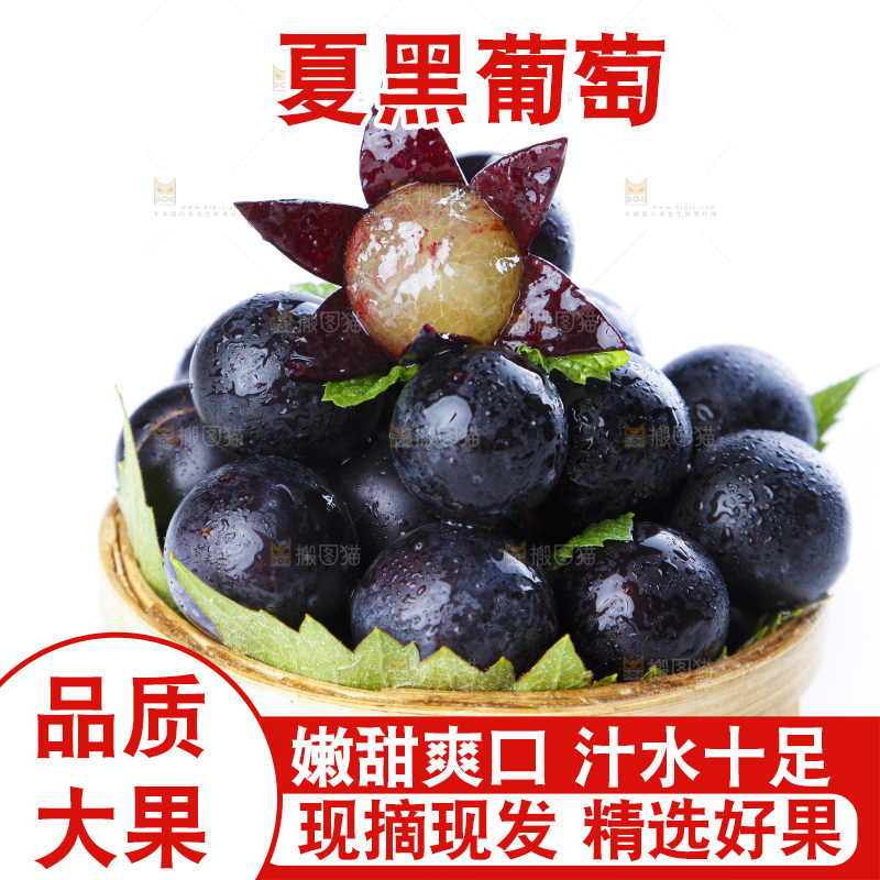 篮子里的夏黑无籽葡萄