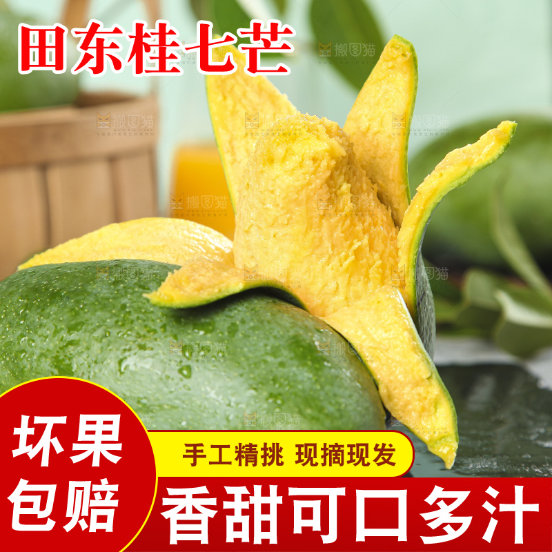 石板上的青皮桂七芒