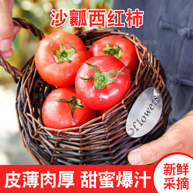手里拿着普罗旺斯西红柿