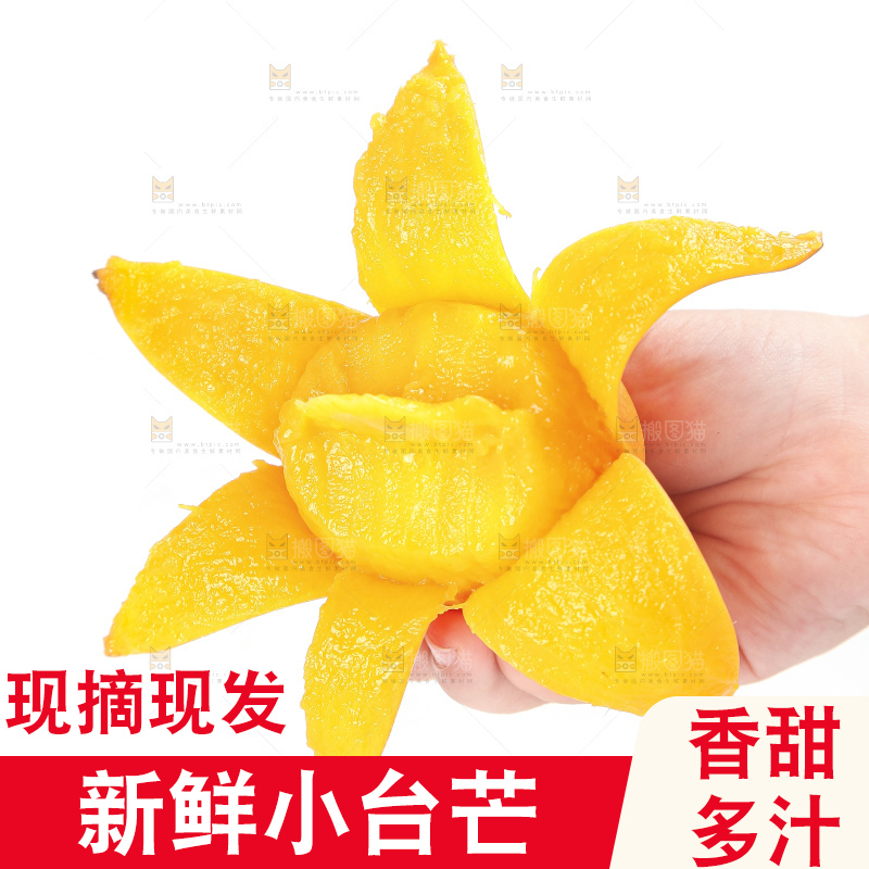 手里拿着小台农芒果肉