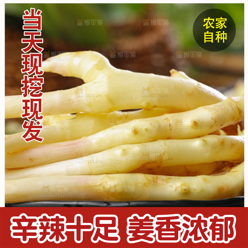 深底上的新鲜生姜