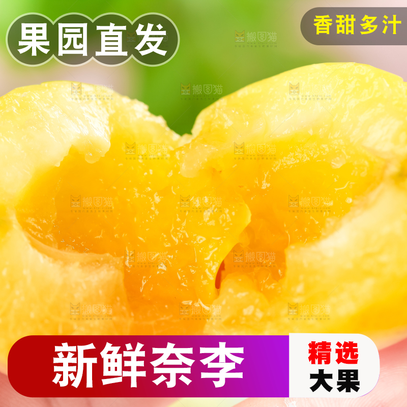 手里拿着黄金奈李