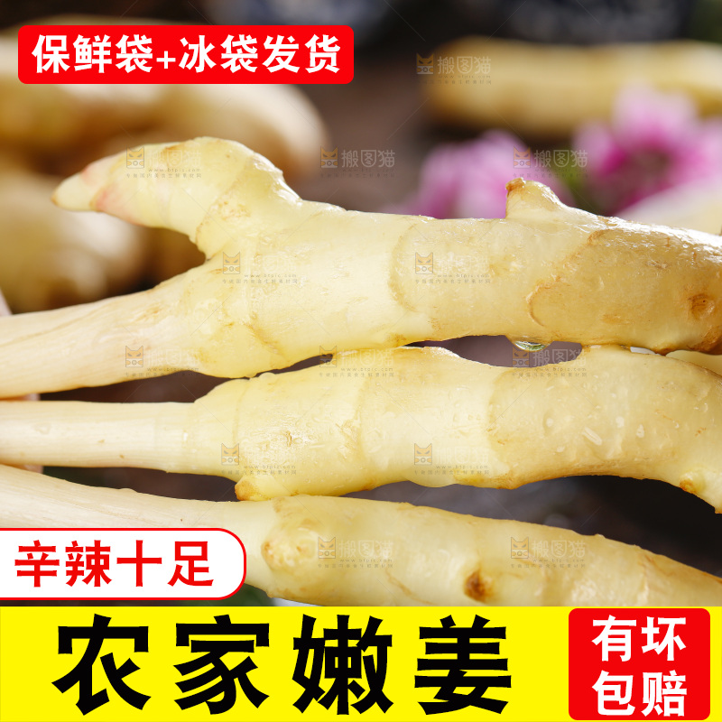 手里拿着四川生姜