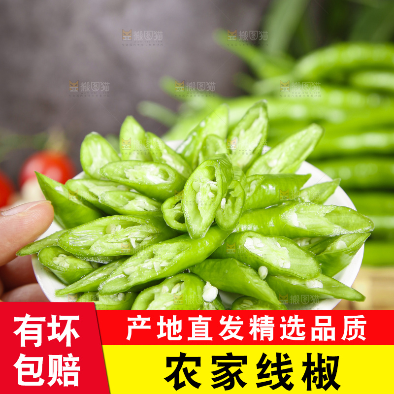 盘子里的云南青线椒