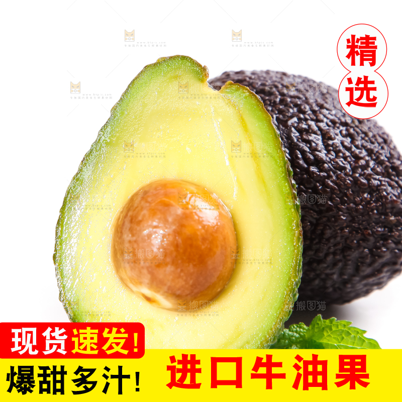白底上的墨西哥牛油果