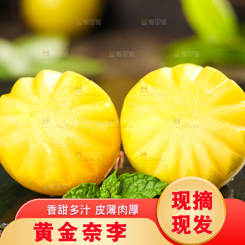 石板上的黄金李子