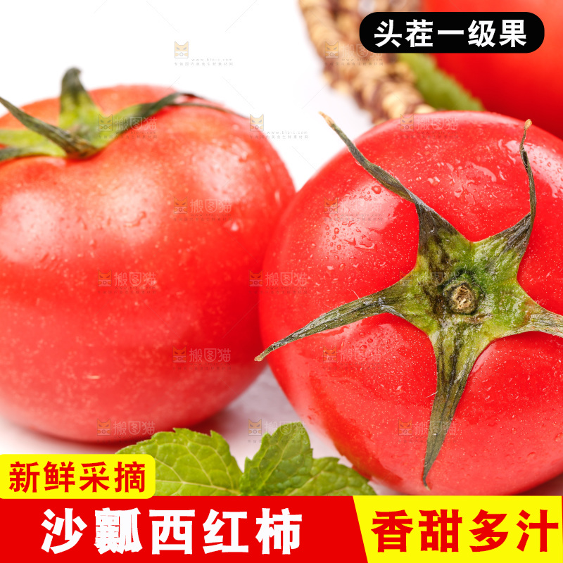 亮底上的新鲜西红柿