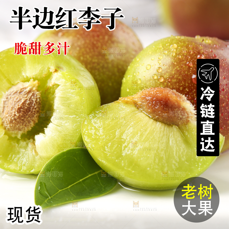 石板上摆放着四川茵红脱骨李