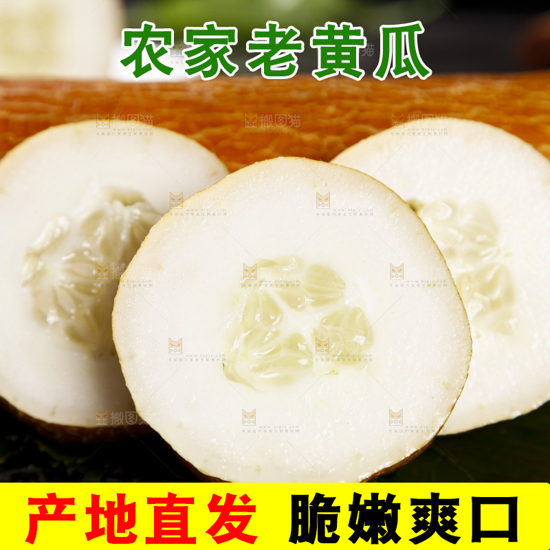 深底上的老黄瓜