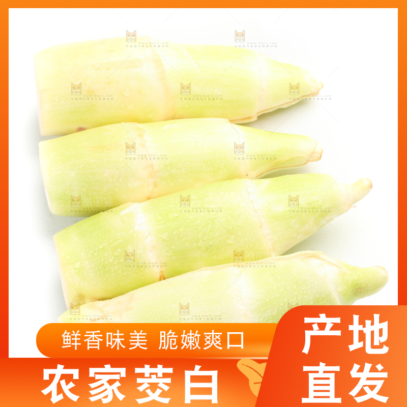 白底上的茭白