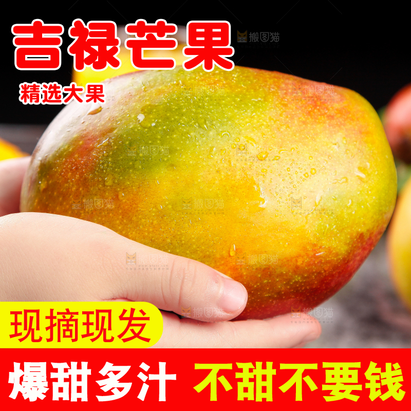手里拿着四川吉禄芒
