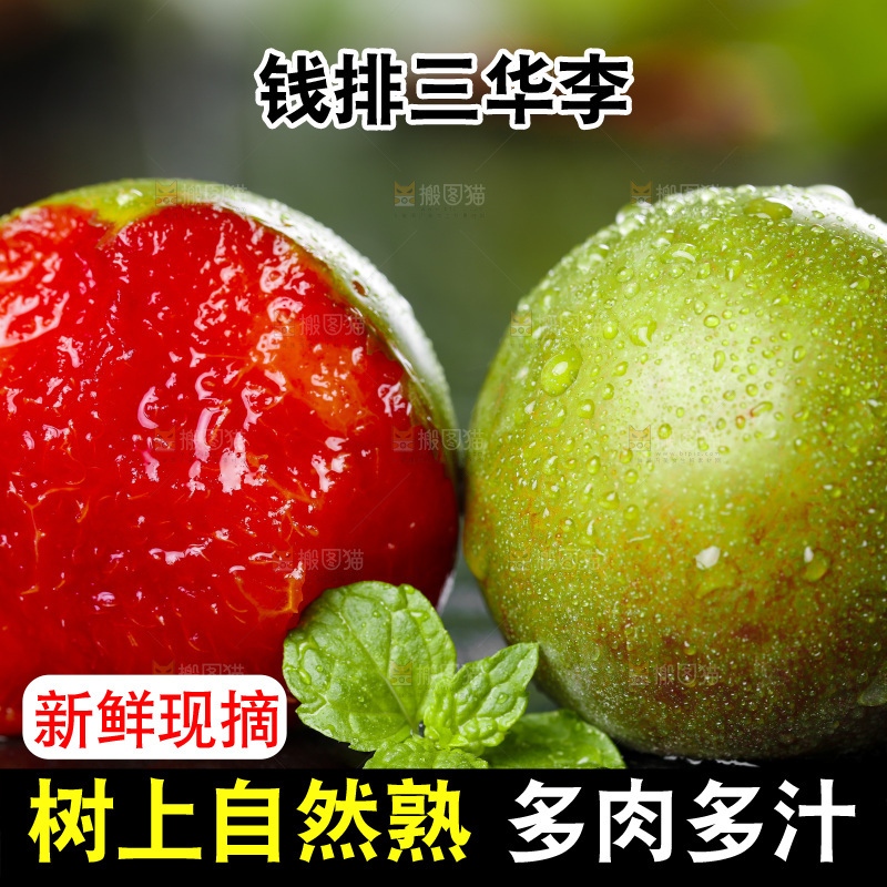 石板上的红肉三华李