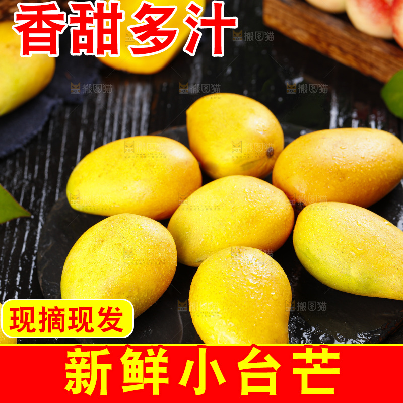 石板上的小台农芒果