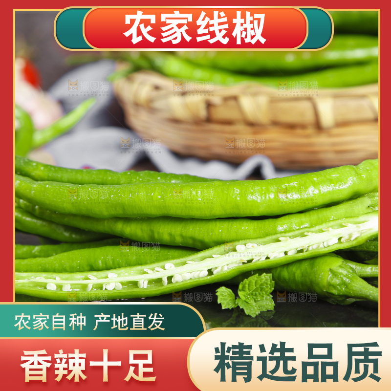 石板上放着青线椒