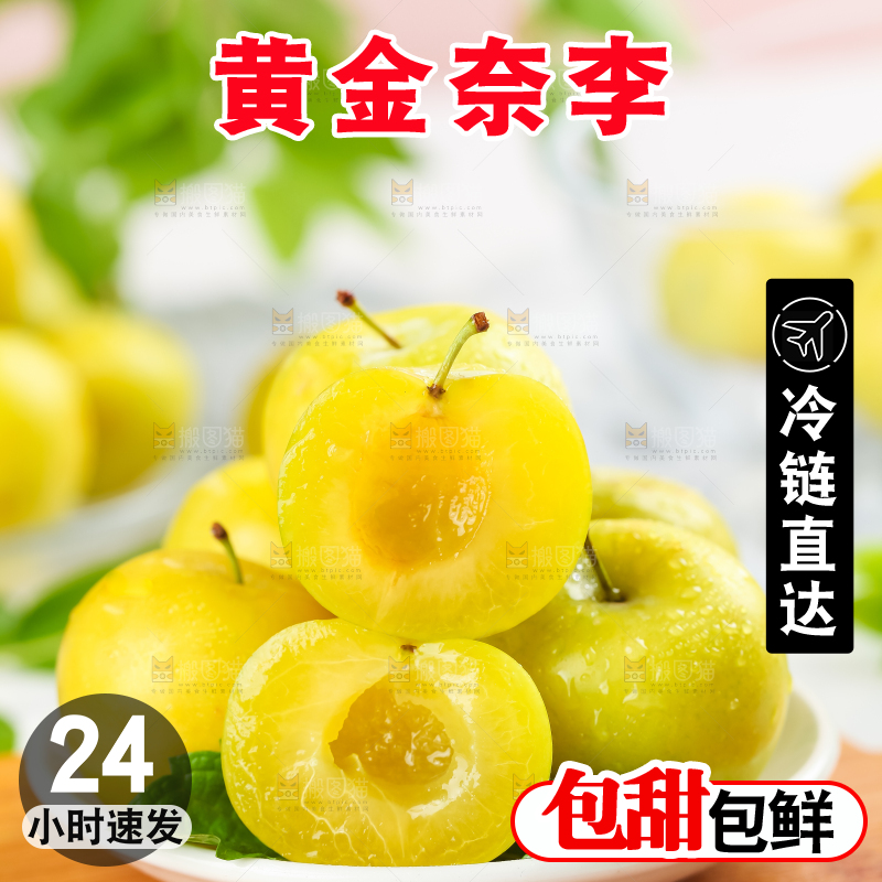 木板上的黄金李