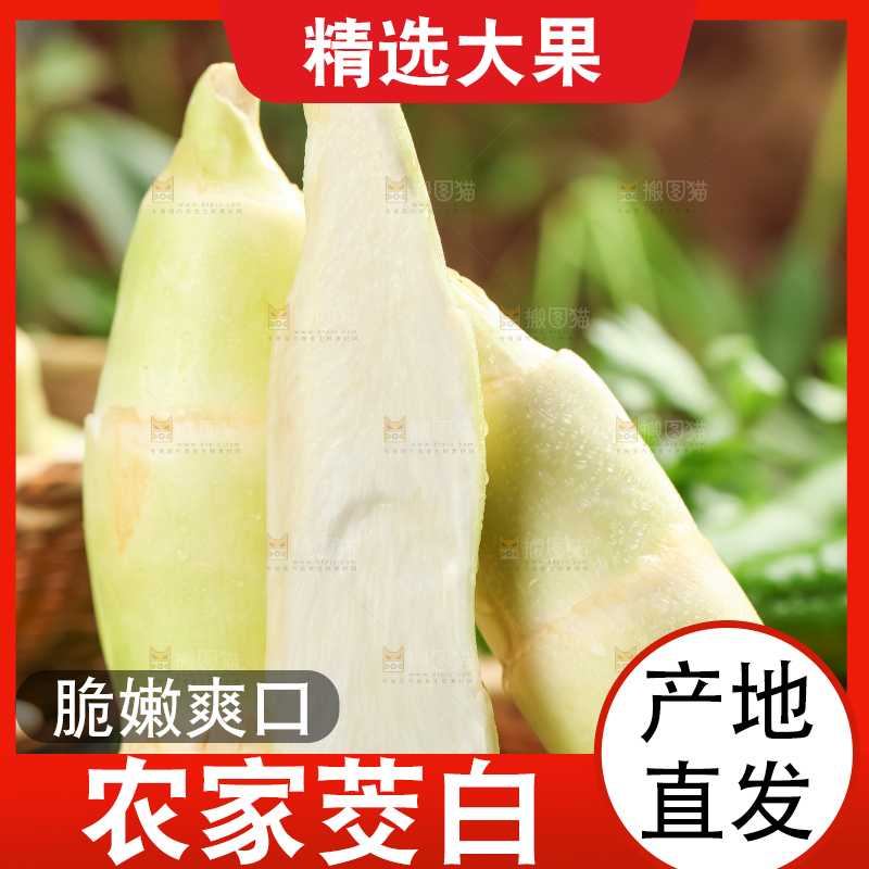 黑石板上的云南茭白